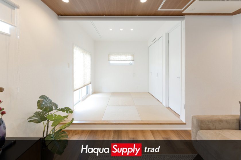 Limited edition Model house