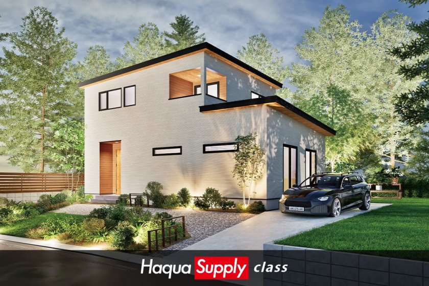 Limited edition Model house