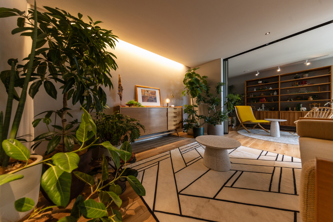 Botanical Interior