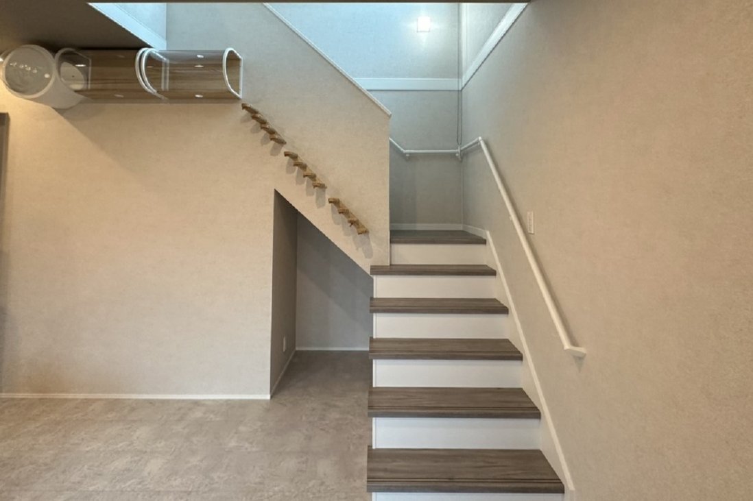 ネコとの暮らしも快適に楽しめるようにキャットウォークも搭載